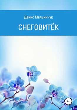 Денис Мельничук Снеговитёк обложка книги