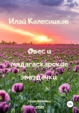 Илай Колесников Овес и мадагаскарские звездочки обложка книги