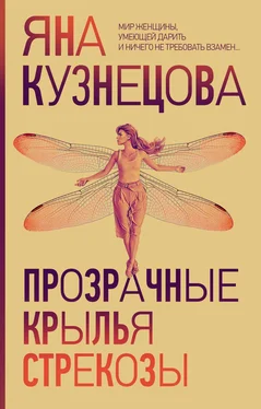 Яна Кузнецова Прозрачные крылья стрекозы обложка книги