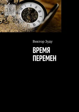 Виктор Зуду Время перемен обложка книги