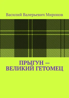 Василий Миронов Прыгун – великий гетомец обложка книги