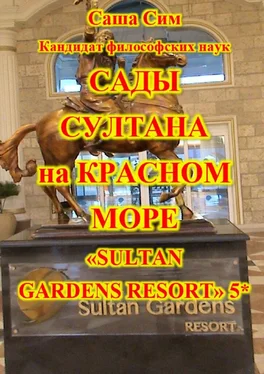 Саша Сим Сады султана на Красном море. Отель «Sultan Gardens Resort» 5* обложка книги