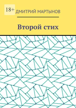 Дмитрий Мартынов Второй стих обложка книги