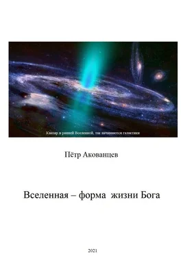 Пётр Акованцев Вселенная – форма жизни Бога. Теория Всего обложка книги