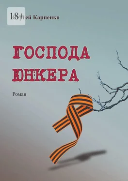 Сергей Карпенко Господа юнкера обложка книги