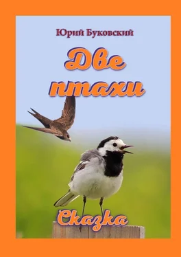 Юрий Буковский Две птахи. Сказка обложка книги