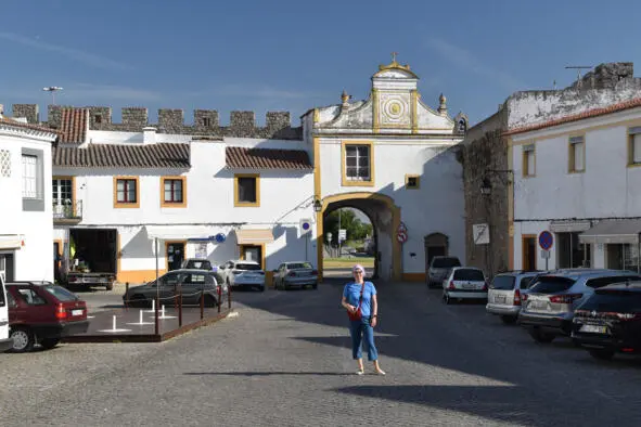 Северный въезд в Эвору врата Porta De Aviz Кактус на крыше дома ул Serpa - фото 28