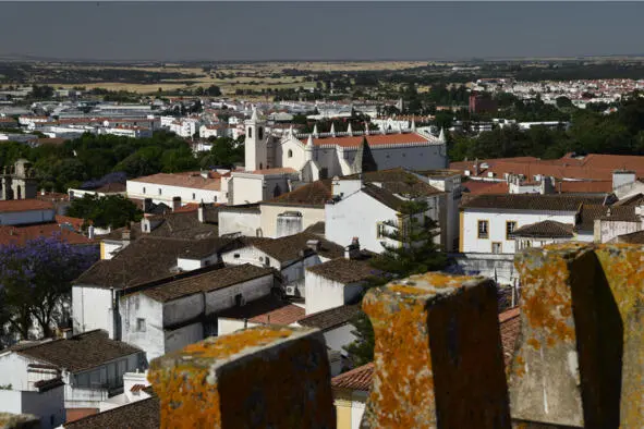 Вид на храм монастыря São Francisco XV в Звонница храма Misericórdia XVI в - фото 43