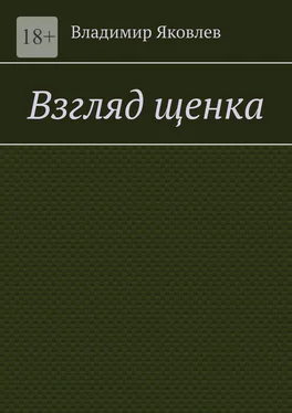 Владимир Яковлев Взгляд щенка обложка книги