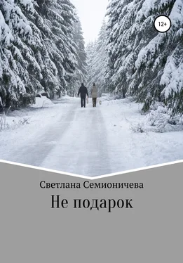 Светлана Семионичева Не подарок обложка книги