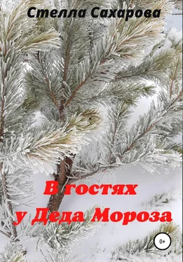 Сахарова Стелла В гостях у Деда Мороза обложка книги
