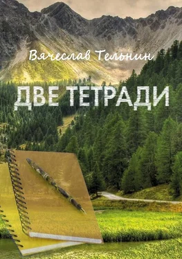 Вячеслав Тельнин Две тетради обложка книги