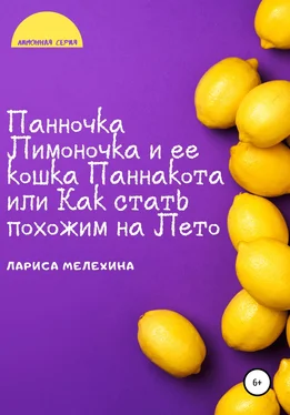 Лариса Мелехина Панночка Лимоночка и ее кошка Паннакота, или Как стать похожим на Лето обложка книги