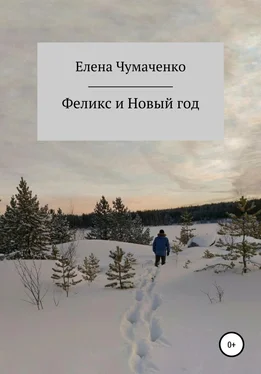 Елена Чумаченко Феликс и Новый год обложка книги