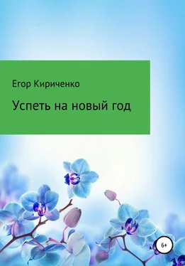 Егор Кириченко Успеть на новый год обложка книги