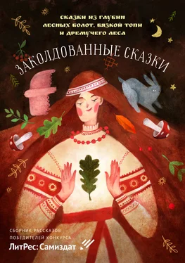 Анастасия Астра Заколдованные сказки обложка книги