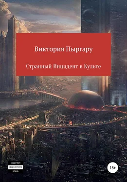 Виктория Пыргару Странный инцидент в культе обложка книги