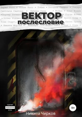 Никита Чирков Вектор: Послесловие обложка книги