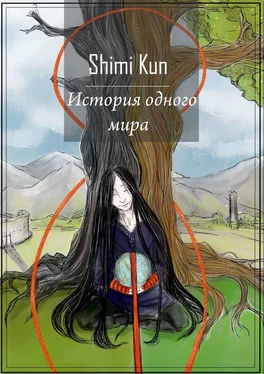Shimi Kun История одного мира обложка книги