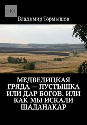 Владимир Тормышов - Медведицкая гряда – пустышка или дар богов. Или как мы искали Шаданакар