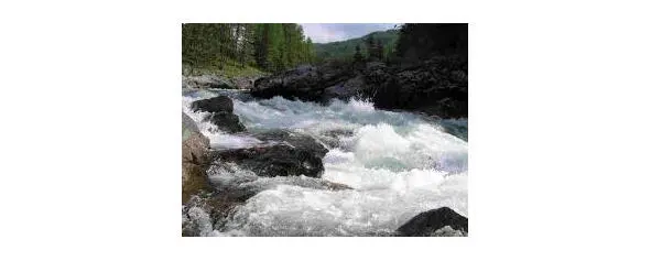 Река Башкаус Алтай Фото expertriverru Мы выбрали красивую поляну чуть в - фото 14