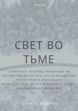 Кирилл Задырко Свет во тьме обложка книги