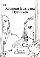 Араксис Пронин - Хроники Братства Путников. История в инкарнациях