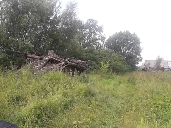 Разрушенный дом Мареньки Дорога к деревне Лбово - фото 7