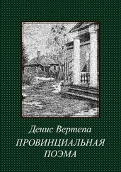 Денис Вертепа - Провинциальная поэма. Роман в стихах
