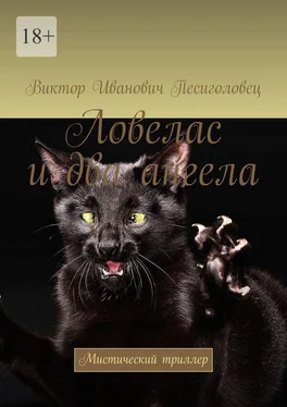 Виктор Песиголовец Ловелас и два ангела. Мистический триллер обложка книги