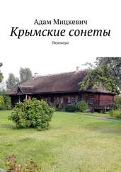 Адам Мицкевич - Крымские сонеты. Переводы