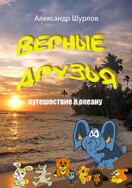 Александр Шурлов Верные друзья. Путешествие к океану обложка книги