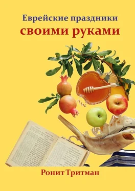 Ронит Тритман Еврейские праздники своими руками обложка книги