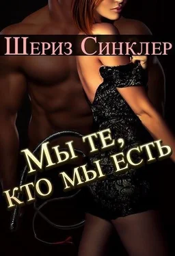 Unknown Sheriz Sinkler My te kto my est 7 обложка книги