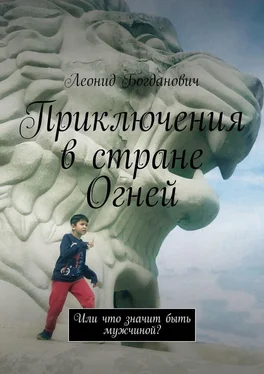 Леонид Богданович Приключения в стране Огней. Или что значит быть мужчиной? обложка книги