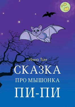 Инна Тим Сказка про мышонка Пи-Пи обложка книги