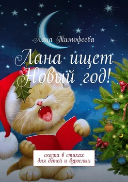 Лана Тимофеева Лана ищет Новый год! Сказка в стихах для детей и взрослых обложка книги