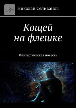 Николай Селиванов Кощей на флешке. Фантастическая повесть обложка книги