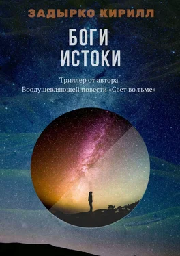Кирилл Задырко Боги. Истоки обложка книги