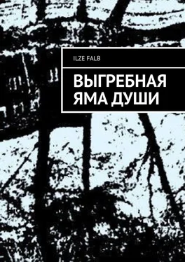 Ilze Falb Выгребная яма души обложка книги