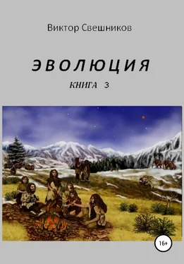 Виктор Свешников Эволюция. Книга 3 обложка книги