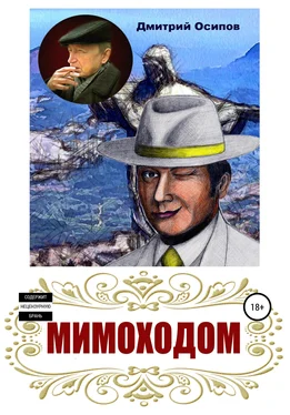 Дмитрий Осипов Мимоходом обложка книги