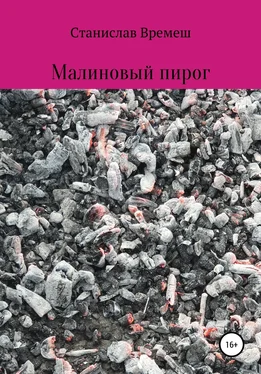 Станислав Времеш Малиновый пирог обложка книги