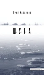 Юрий Каплунов - Шуга