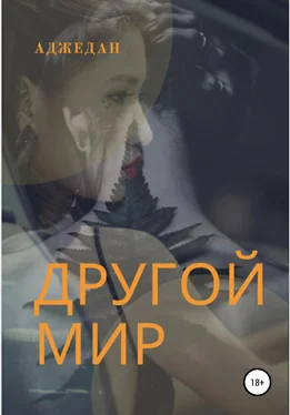 Аджедан Другой мир обложка книги