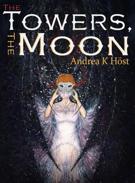 Andrea Höst The Towers, the Moon обложка книги