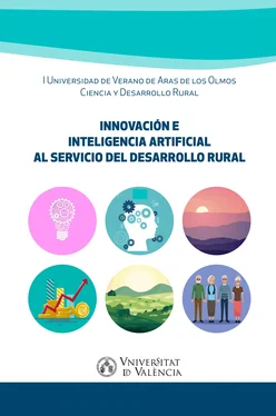 AAVV Innovación e inteligencia artificial al servicio del desarrollo rural обложка книги