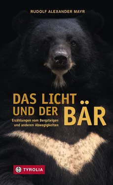 Rudolf Alexander Mayr Das Licht und der Bär обложка книги