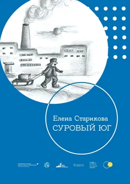 Елена Старикова Суровый Юг обложка книги