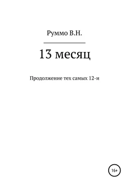 Владимир Руммо 13 месяц обложка книги